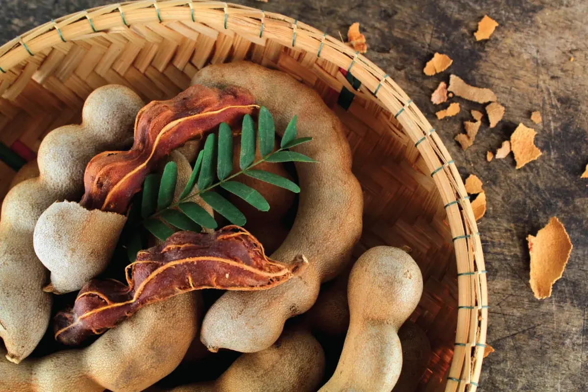 tamarind application in food and beverage
